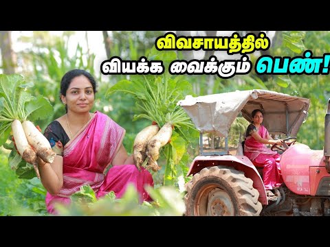 வீட்டைச் சுற்றி விவசாயம் வியக்க வைக்கும் நாமக்கல் பெண் 😱 | Organic Farmer Plant Food