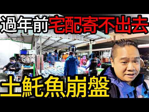 澎湖土魠魚大崩盤，外人不知道的絕佳買點丨你沒看過的深夜澎湖漁港漁獲大爆發丨瘋了!!大土魠一次買三尾丨24小時快閃澎湖漁港買魚