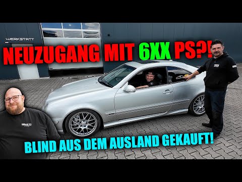 New addition with 6XX hp? - Bought blind abroad - picked up from Rafael!