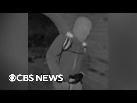 FBI releases new details about suspect in Nancy Guthrie case