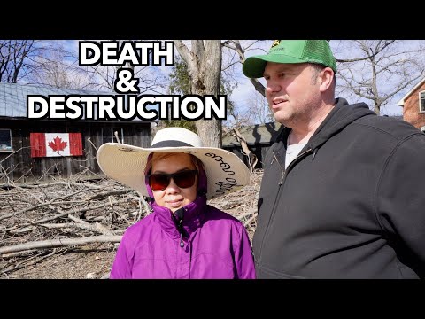 Worst Ice Storm in 100 Years Devastates Our Farm