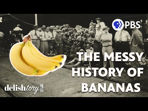 How Did the Banana Become the World’s Most Popular Fruit? | Delishtory
