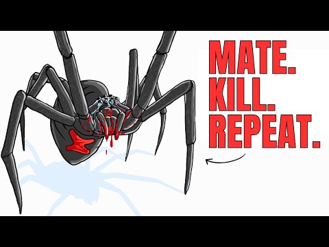 Why It Sucks to Be Born as a Black Widow