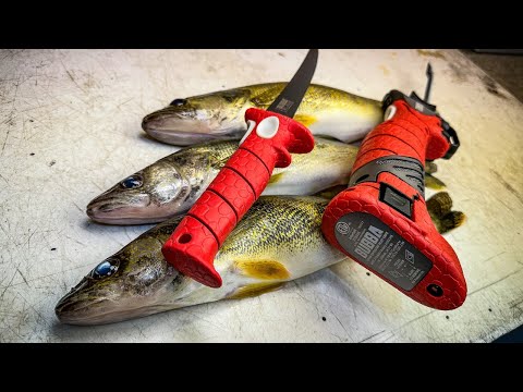 3 Ways to Fillet a Walleye That Every Angler Should Know!