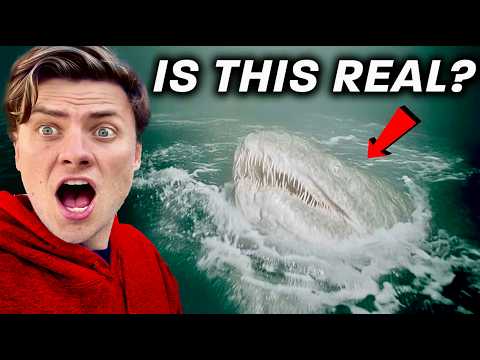 6 Deadly Sea Monsters That Actually Exist