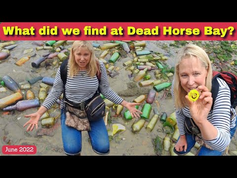 Treasure Hunting at Dead Horse Bay in New York - Mudlarking & History Hunting with @IndianaTones
