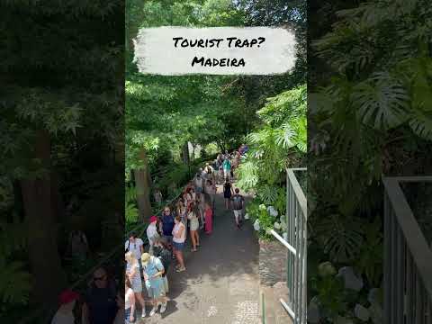 Madeira Tobaggan Ride - Is This A Tourist Trap?