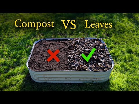 What Happened When I Stopped Mulching With Compost