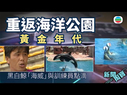 TVB 新聞掏寶|重返海洋公園黃金年代 殺人鯨「海威」、動物明星你記得幾多個?(繁 / 簡字幕)|香港歷史片段|無綫新聞TVB News