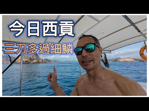 《陸上人的水上生活》 #39 今日西貢 三刀多過細鱗