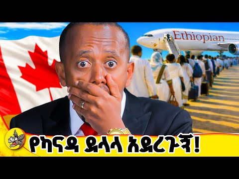 በስሜ ገንዘብ ለተበላችሁ... #comedianeshetu #donkeyyoutube #ethiopia #dinklijoch #tourandtravellng