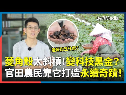 斜槓的菱角殼！從寢具跨足電池材料，菱殼炭挑戰取代石墨烯？台南官田將廢棄菱殼，華麗變身科技黑金！【WellTalk】 @WellMediaGlobal