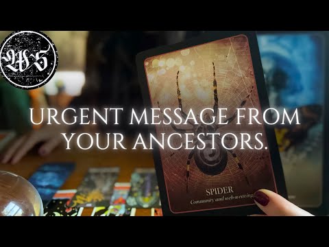 CYCLE BREAKER, THE POWER TO WEAVE THE FUTURE BEGINS NOW. 