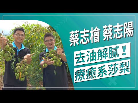 草地狀元-生活壓力大！百變沙梨讓人療癒又健康(2020.11.16播出)