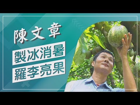 【草地狀元經典重現】吃冰要吐籽！？羅李亮果冰淇淋你有吃過嗎