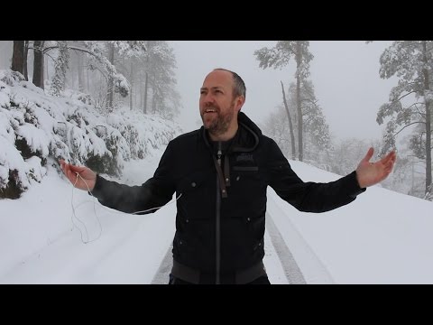 Word order in English | Canguro English