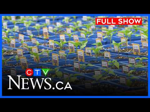 Gardening interest growing in Winnipeg | CTV News Winnipeg News at 1130pm for April 17, 2026