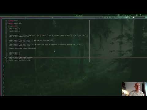 Odin Lang : Learning Vlog 7:  using tprint