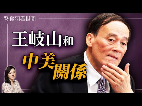 王岐山為何重出江湖？他能解開中美死結嗎？｜薇羽看世間 20241118