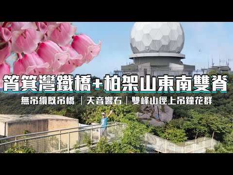 栢架山東南脊+筲箕灣鐵橋+[香港行山郊遊好去處]4K航拍｜一條栢架山脊上無吊纜既吊橋｜兩條上落栢架山頂較冷門既山徑｜有奇石有吊鐘花既好玩路線｜香港島行山郊遊路線 😷影片拍於224口罩加強令之前