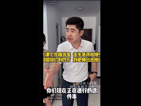 夫妻丁克猫当宝, 走失急寻心难宁, 层层加码到四万, 刘老师出击现场!