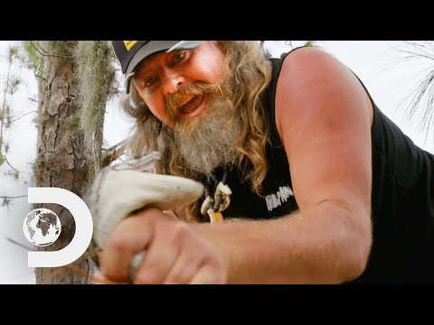 How To Catch A Python With Your Bare Hands | Guardians Of The Glades