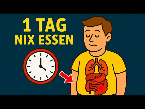 Was passiert mit deinen Organen, wenn du 24 Stunden fastest?