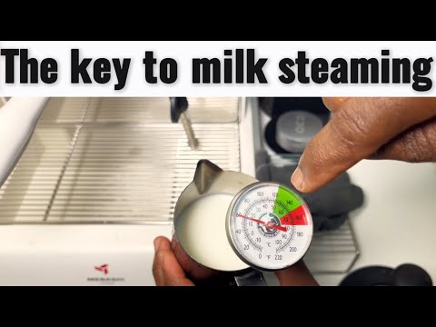 A Beginner’s Guide To Milk Steaming 