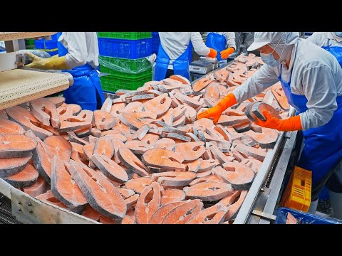 1 Million Tons Sold out annually, BEST 7 Popular Seafood/每年100萬噸！7種超受歡迎的海鮮, 魚的切割技巧 - Fish Cutting