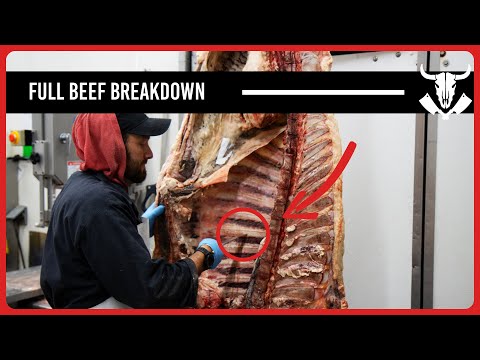 Full Beef Breakdown