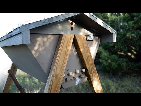 Building a Top Bar Beehive