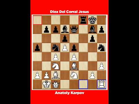 Anatoly Karpov vs Diez Del Corral Jesus √ It Montilla Spain, 1976.
