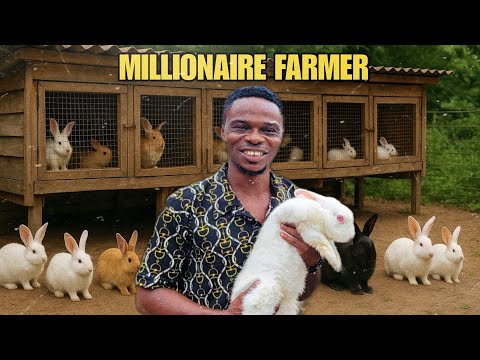 How This Nigerian Farmer Built and Became a Millionaire with Rabbit farming