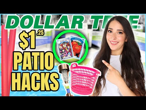 20 Dollar Tree Hacks you need to try!🌞 GENIUS ideas you’ll love