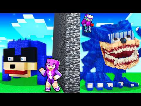 I Cheated with SHIN SONIC in a SONIC Build Battle!