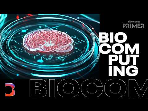 Here’s How Biocomputing Works And Matters For AI | Bloomberg Primer