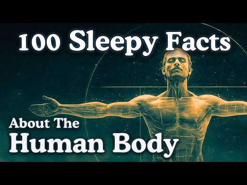 The Most Relaxing Facts About The Human Body to Fall Asleep To