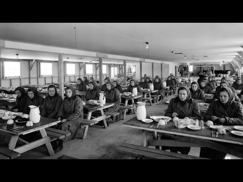 “This Is the Best Meal I’ve Ever Had” — German Women POWs Wept Over American Food