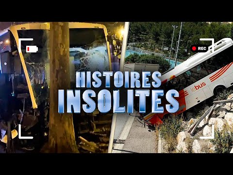 Un accident de bus impressionant ! 😶  les 30 histoires insolites - 98/99-07