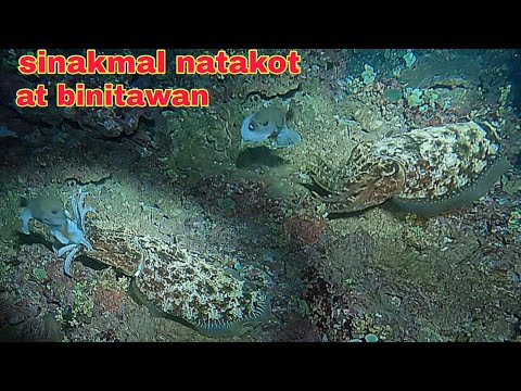 ep640 kulambutan sinakmal ang botete natakot at binitawan