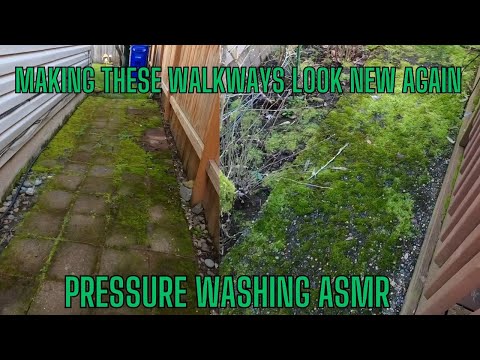 3 Heavy Moss Covered areas (ASMR). #asmr, #pressurewashing, #satisfying, #asmrcleaning,