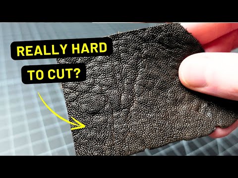 Elephant Leather for Leather Working: A Detailed Look