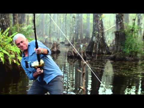 Monstruos de Río - Cuarta temporada - Discovery Channel España