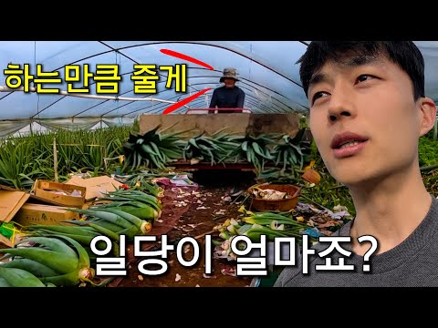 거제도 농장에서 살아남기