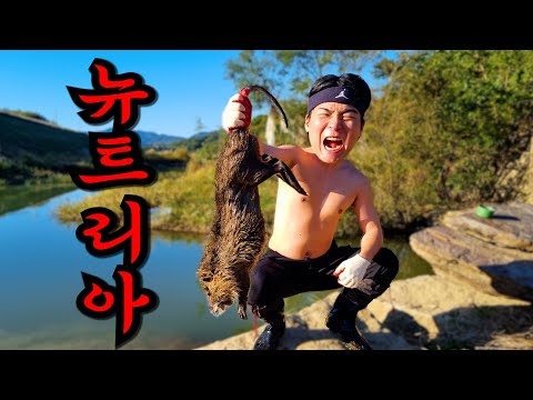 생태계 교란종 뉴트리아 잡아 먹기!!!