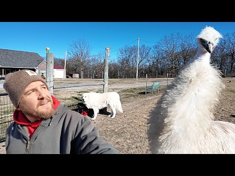 I Wasn't Expecting This Today