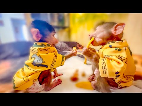 Мы поздравили Олега Зубкова с Юбилеем! Степашка и Маняшка как ДВА СОЛНЫШКА в одинаковых нарядах!