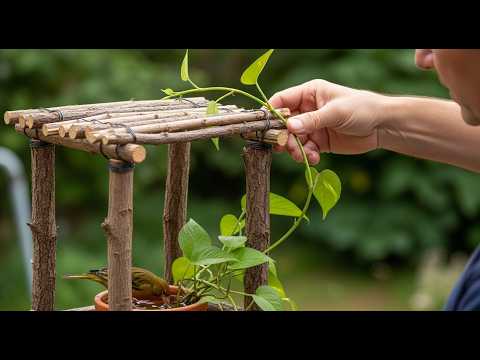 5 Eco-Friendly Garden Decor Ideas 🌿 | DIY with Recycled Materials