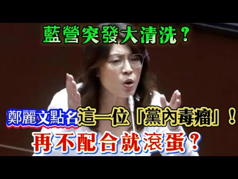 侯友宜又唱反調？鄭麗文這次不再讓步，發出最後通牒：不配合就讓位，藍營要變天了！ #鄭麗文 #侯友宜 #賴清德