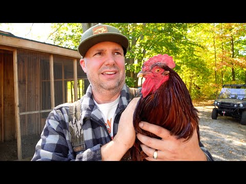 Every Homestead Will Face This Dilemma At Some Point